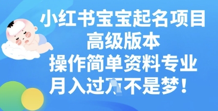 小红书宝宝起名项目高级版本,操作简单,资料专业,月入过W-星叙轻创