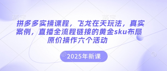 拼多多实操课程，飞龙在天玩法，真实案例，直播全流程链接的黄金sku布局原价操作六个活动-星叙轻创