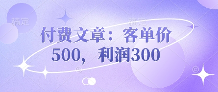 付费文章：客单价500，利润300-星叙轻创