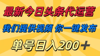 最新今日头条代运营，我们提供视频，你一键发布，单号日入200+【揭秘】-星叙轻创