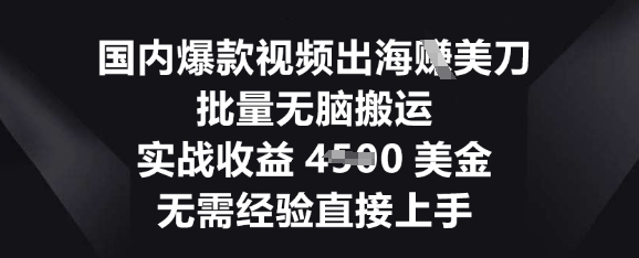 国内爆款视频出海挣美刀，批量无脑搬运，实战收益4.5k，无需经验直接上手-星叙轻创