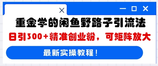 重金学的闲鱼野路子引流法,日引300+精准创业粉,可矩阵放大-星叙轻创