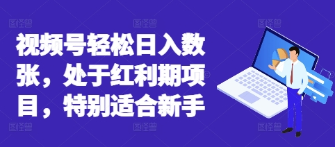 视频号轻松日入数张，处于红利期项目，特别适合新手-星叙轻创