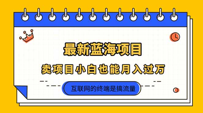 (14289期)2025年最新蓝海项目,卖项目小白也能月入过万-星叙轻创