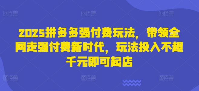 2025拼多多强付费玩法，带领全网走强付费新时代，玩法投入不超千元即可起店-星叙轻创