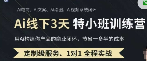 AI实操培训第20-21期线下，0基础保姆级教程，3月最新整理，企业获客、降本增效、打造超级个体-星叙轻创
