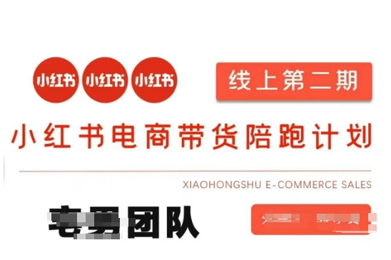 小红书电商带货课2期，月利润20个的小红书电商的有货源，无货源，虚拟产品，付费投流等整套玩法-星叙轻创